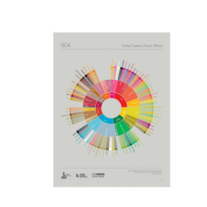 English -The Coffee Taster's Flavor Wheel Poster -SCA ESPRESSO GEAR