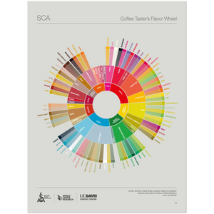 English -The Coffee Taster's Flavor Wheel Poster -SCA ESPRESSO GEAR