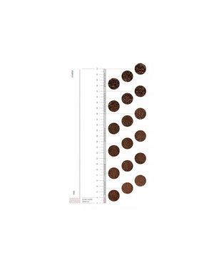 Varia EVO Hybrid - Både manuell och elektrisk - Barista och Espresso